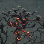 coral