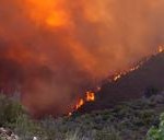 fire arizona