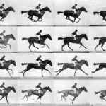 Muybridge_race_horse_gallop