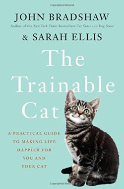 the-trainable-cat